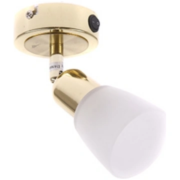 Spot lampa SIMPLE 40W E14 zelta Cits