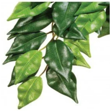 Akvārija dekorācija Exo Terra Ficus 012856, zaļa k
