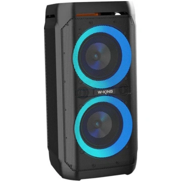 Wireless Bluetooth Speaker W-KING T11 100W (black)