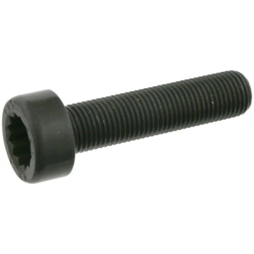 Spararata skrūve FE24612 FEBI