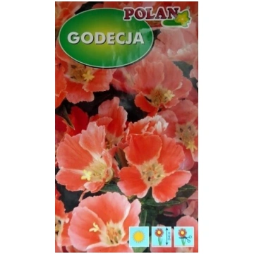 Lielziedu godēcija Orange Glory 1 g Polan 12/2026
