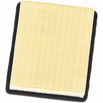 Dedra Filtr HEPA do DED6607 | DED66072 | 590262866