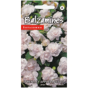 Sēklas Balzamīnes Athena F1 Appleblossom 5gab. 475