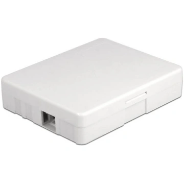 Delock Optical Fiber Connection Box for wall mount