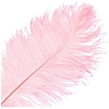 Strausa spalva 26-28 cm