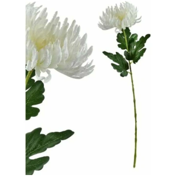Mākslīgie ziedi, hrizantēma Mondex Viridis, balta 