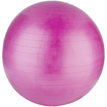 Vingrošanas bumba Xqmax, 65 cm, violeta XQ Max