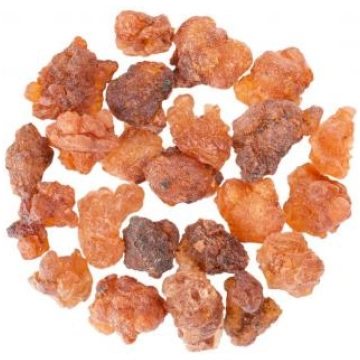 CO2 Guggul ekstrakts 10% kokoseļļā