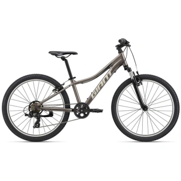 Kalnu velosipēds Giant XTC Jr 24" Metal