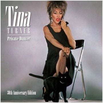 LP Vinila plate Parlophone TINA TURNER "Private Da