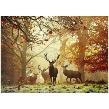 Puzle Heye 1000 Det. Burvju meža brieži 50x70cm