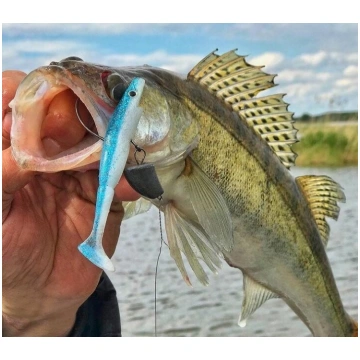 Māneklis GIANT PIG SHAD 26CM, 130GR