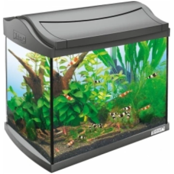 TETRA AquaArt Aquarium (melns) akvārijs 100 litri.