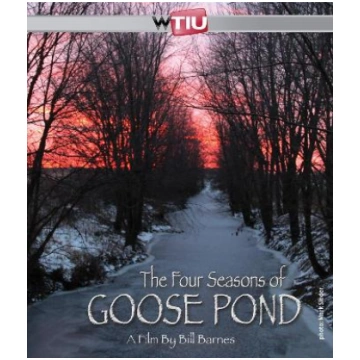 Four Seasons of Goose Pond