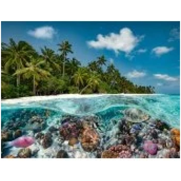 Ravensburger Ravensburger Jigsaw Puzzle A dive in 