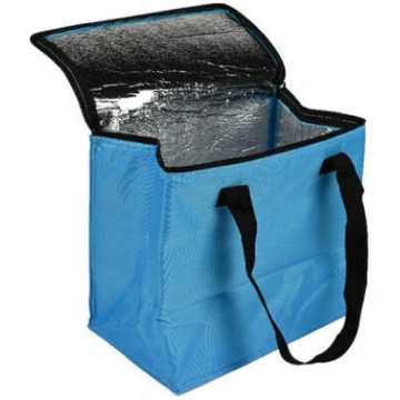 Aukstuma soma, BENSON, 12 L