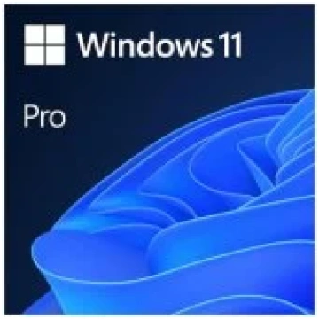 Microsoft Windows 11 Pro 64 Bit DVD OEM Eng FQC-10