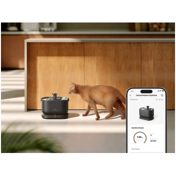 Petlibro - Dockstream Smart Water Fountain - Black