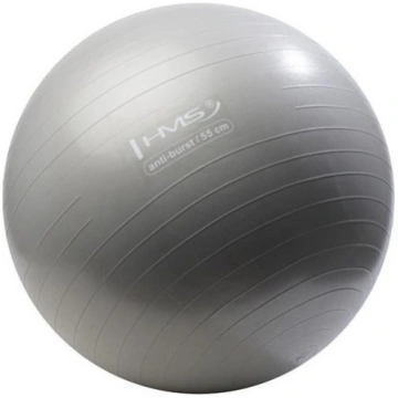 YB02N 55CM GRAPHITTE GYM BALL HMS