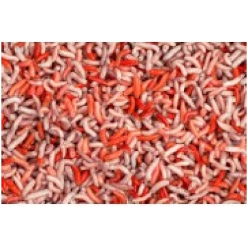 Mušu kāpuri "PINKA", 10gr Ražots Latvijā 42110