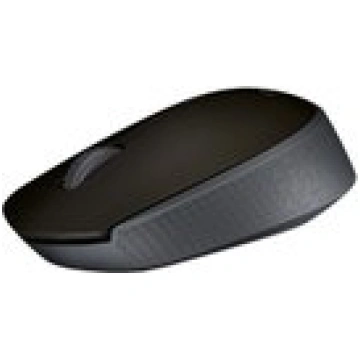 Logitech MOUSE USB OPTICAL WRL M170/GREY 910-00464