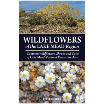 Wildflowers of the Lake Mead Region Steve Chadde