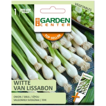 Sēklas Garden Center, sīpoli Witte Van Lissabon, 1