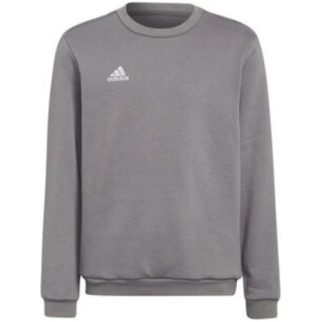 Bērnu džemperis Adidas Entrada 22 H57477, pelēks