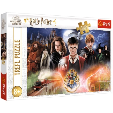 Puzle Trefl The Secret Harry Potter 23001, 60 cm x