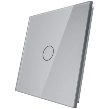 701-64 Pelēks (SILVER) stikla panelis LIVOLO | iLU