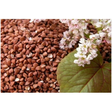 Griķu sēklas , 100 g