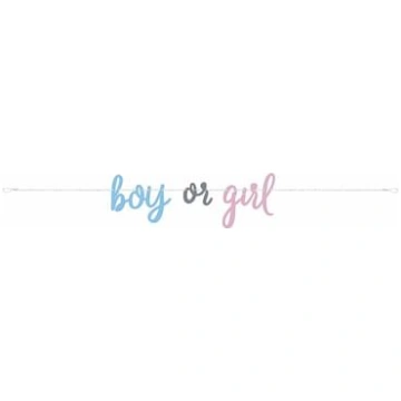 Girlandes "Boy or Girl" Gender Reveal - Blue or Pi