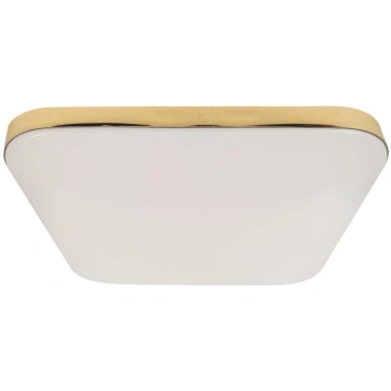 LED vannas istabas griestu lampa NEMO LED/17W/230V