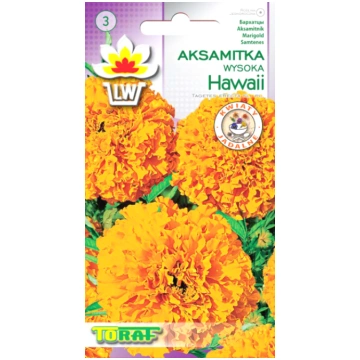 Samtenes TORAF Hawaii 1g