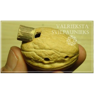 Maijers Aleksandrs