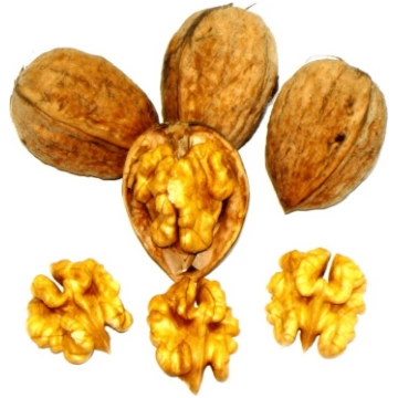 Yarivsky