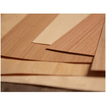 RIEKSTS TANGENS 0.6mm *akcijas prece
