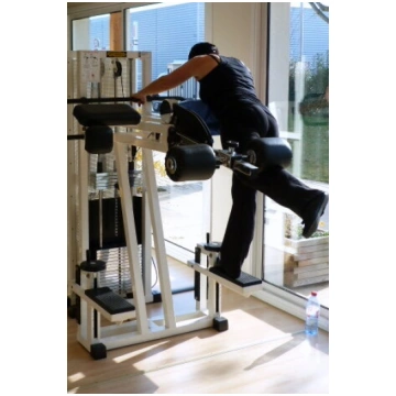 Technogym Standing Gluteus Isotonic Line