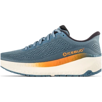 USL 10 Icebug