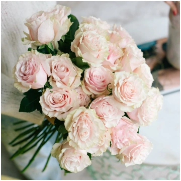 Mazzo di rose rosa colombiane giganti Flowers Pale