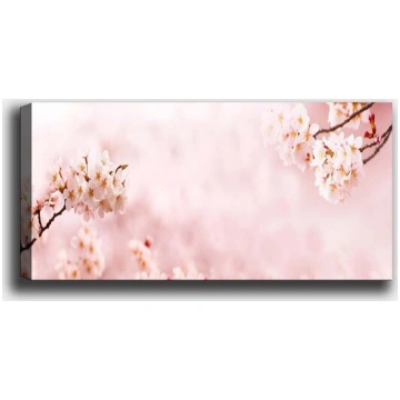 Reprodukcija Sakuras