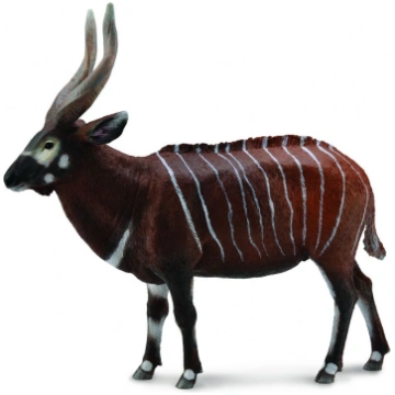 Collecta Bongo (004-88809) | 004-88809 | 489290088