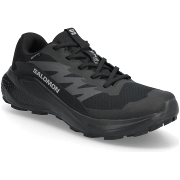 Salomon - Alphaglide Gtx - izmērs 42 2/3