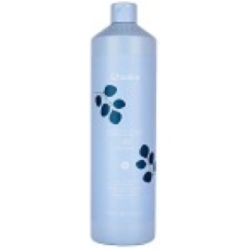 ECHOSLINE FREQUENT USE Shampoo - Šampūns biežai li