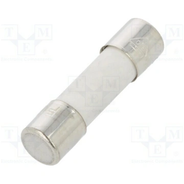 Fuse: fuse; ceramic,cylindrical; 10A; 250VAC; quic