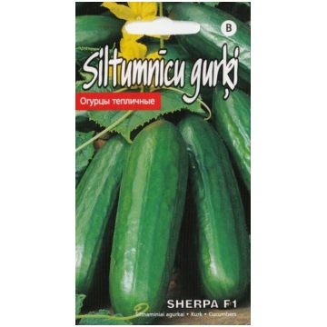 Gurķi Sherpa Kurzemes sēklas