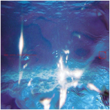 Fabiano Do Nascimento & E Ruscha V - Aquáticos, LP
