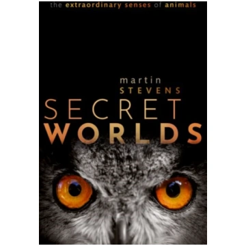 Secret Worlds Martin Stevens