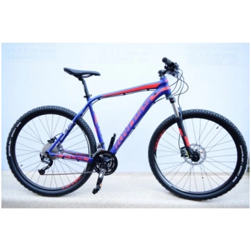 Kross Level B3