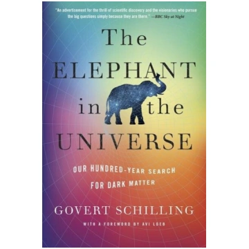 The Elephant in the Universe: Our Hundred-Year Sea